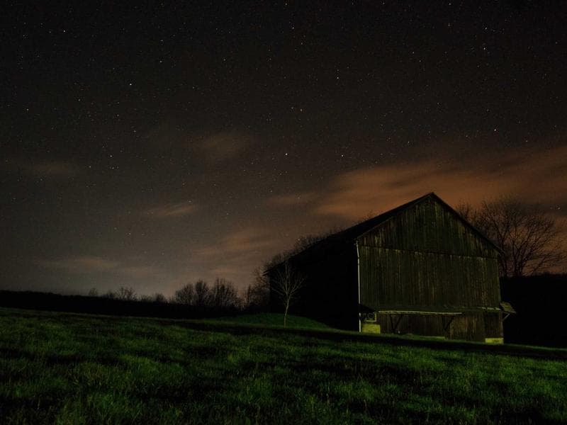 Collection 59 — editorial 29459