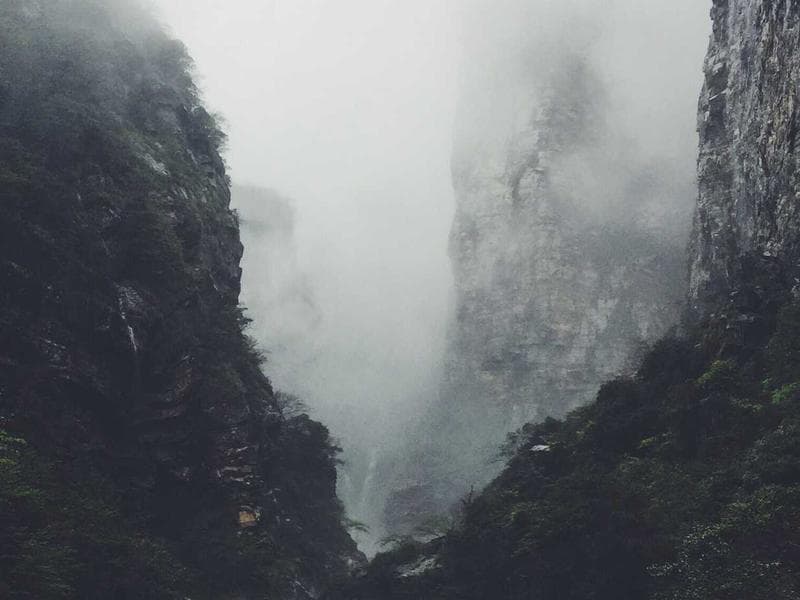 Collection 63 — nature 29463