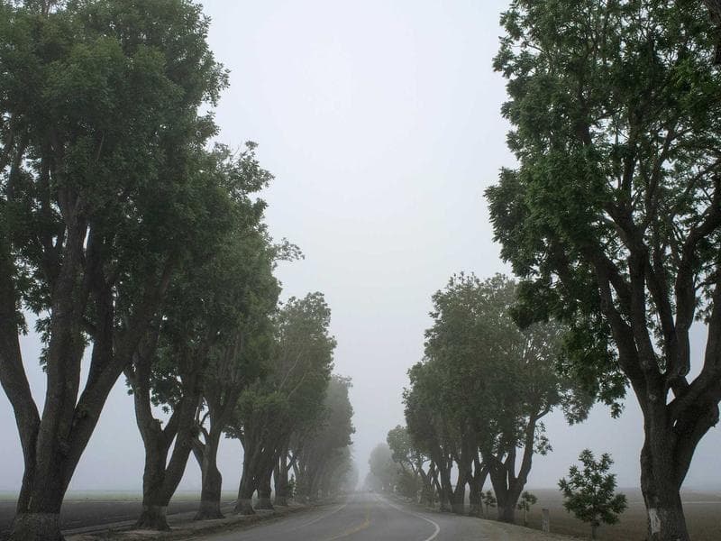 Collection 64 — architecture 29464