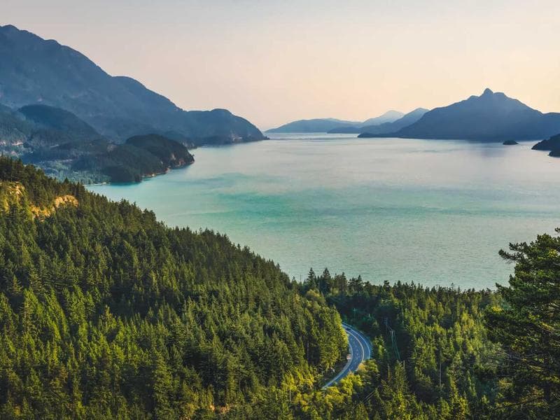 Collection 66 — portrait 29466