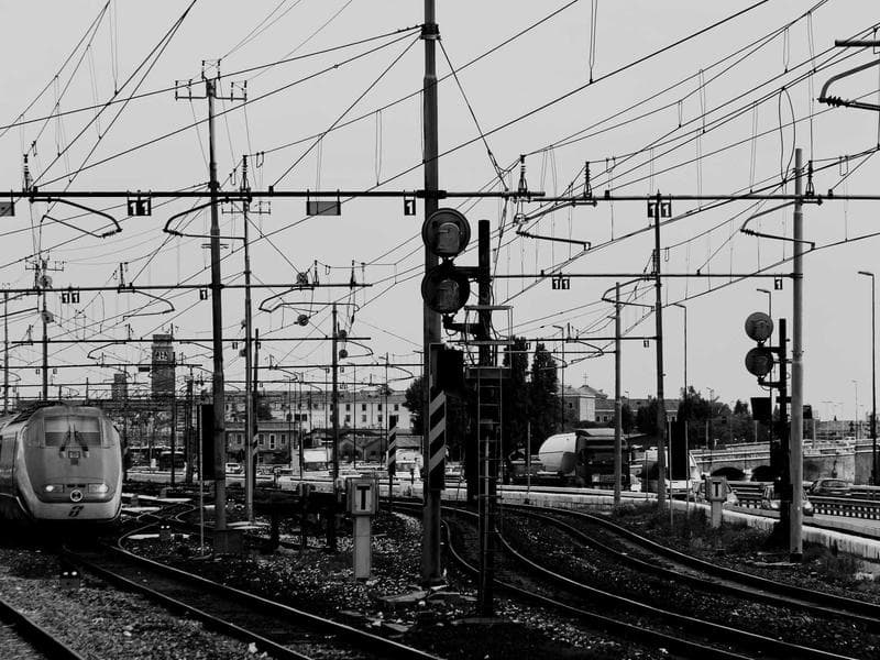 Collection 71 — nature 29471