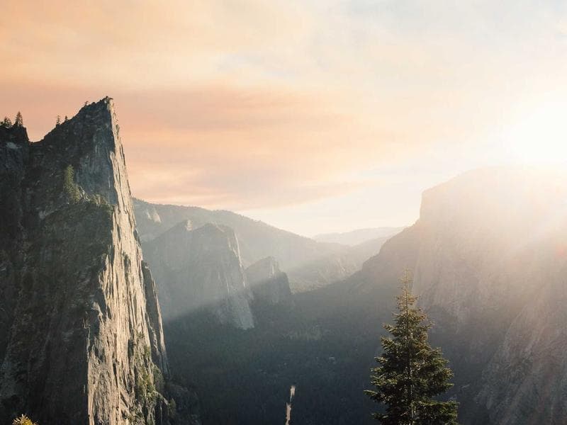 Collection 74 — portrait 29474