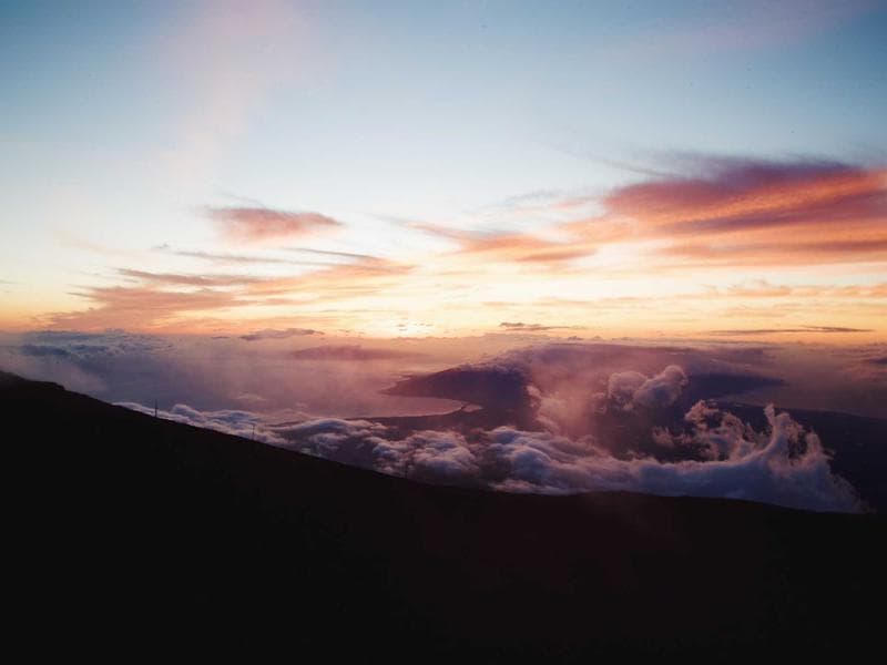 Collection 83 — editorial 29483