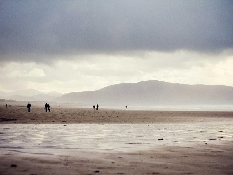 Collection 90 — portrait 29490