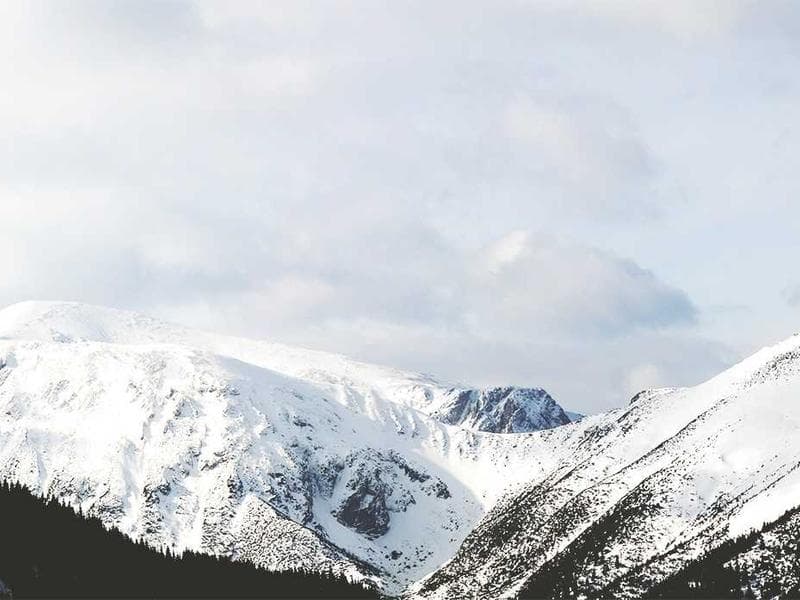 Collection 95 — nature 29495