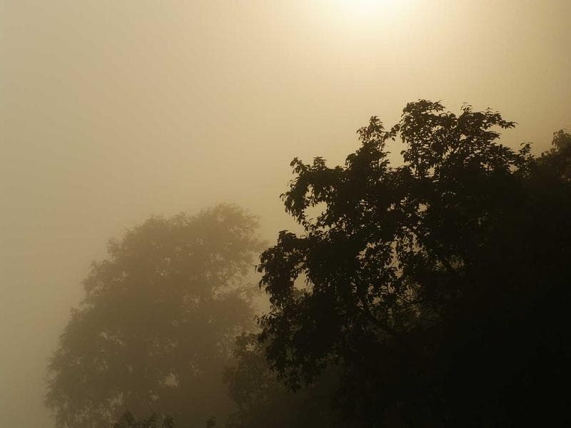 Collection 102 — product 29502