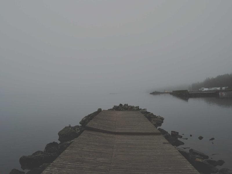 Collection 108 — street 29508