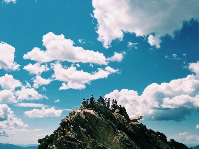 Collection 113 — landscape 29513