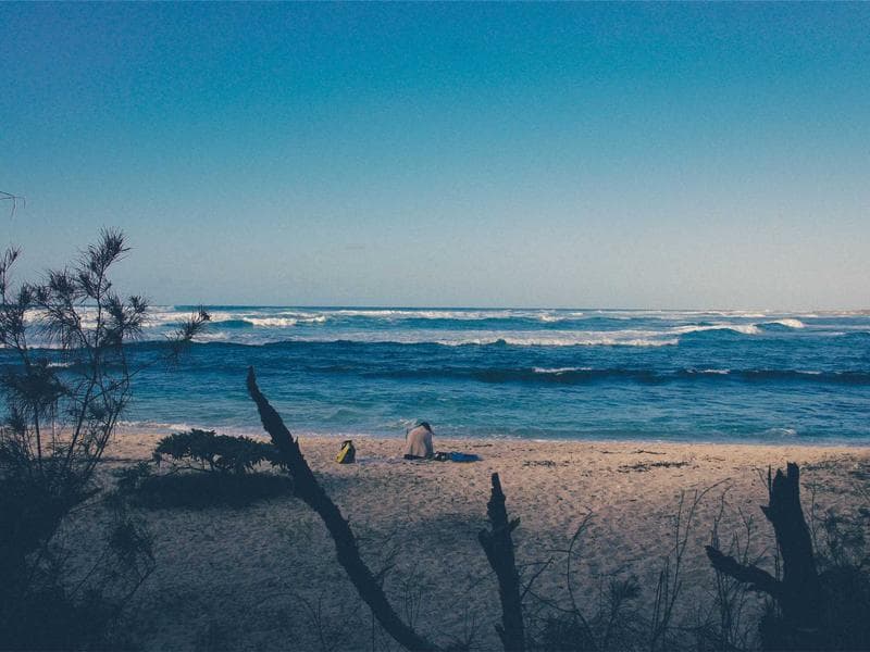 Collection 115 — editorial 29515