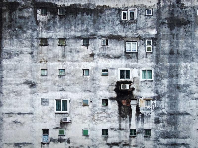 Collection 130 — portrait 29530