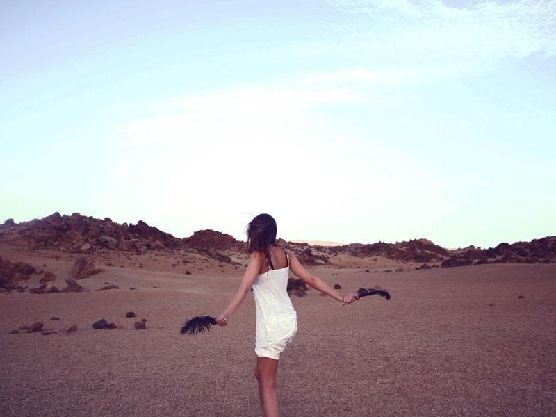 Collection 131 — editorial 29531