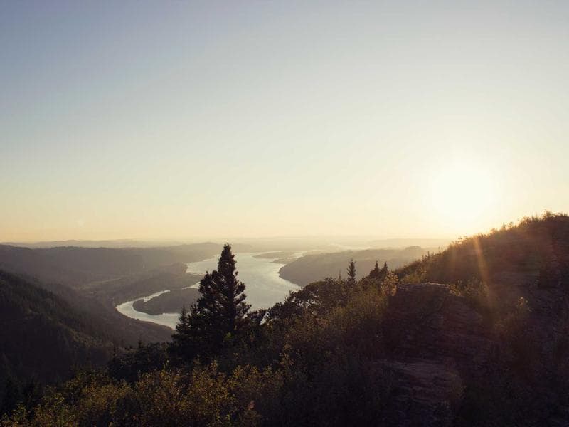 Collection 138 — portrait 29538