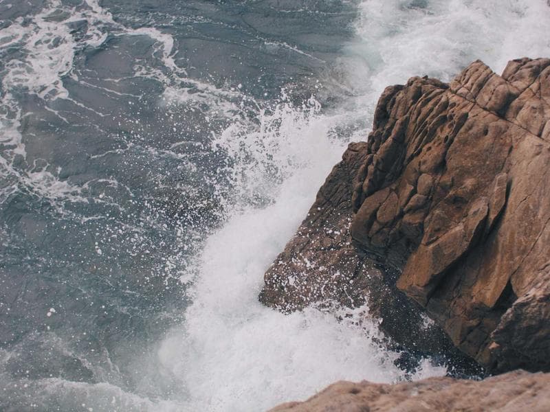 Collection 145 — landscape 29545