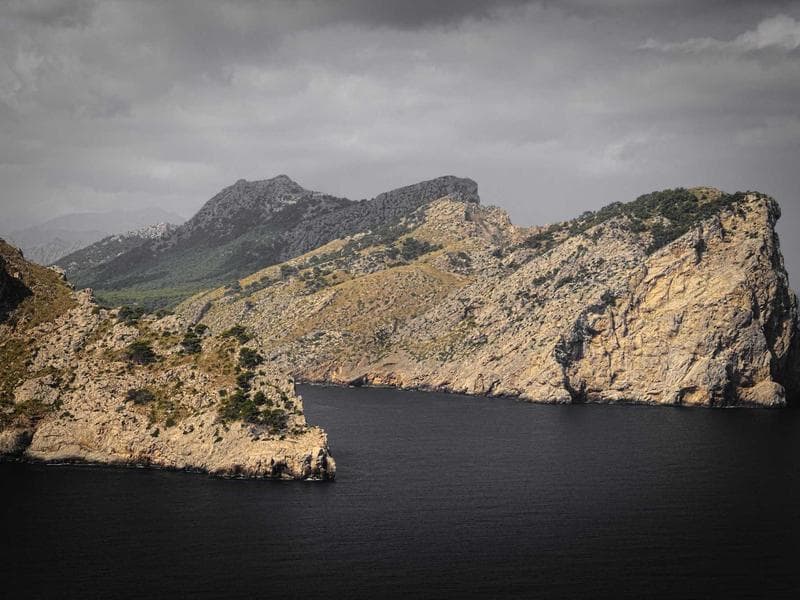 Collection 150 — product 29550