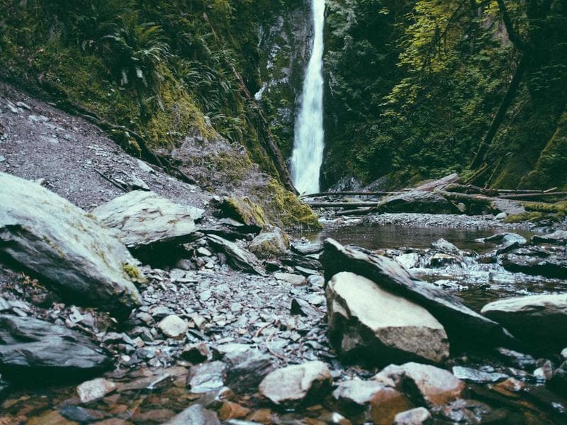 Collection 151 — nature 29551