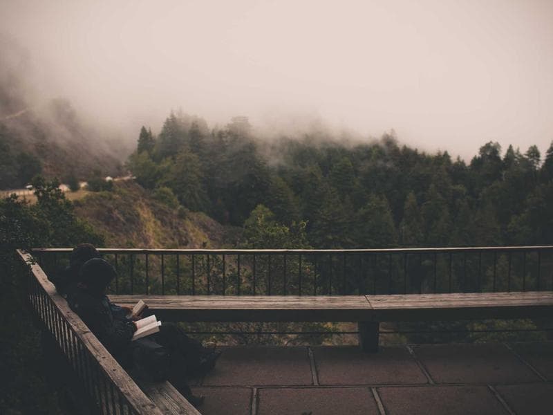 Collection 153 — landscape 29553