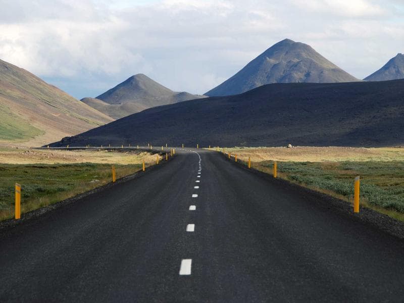 Collection 154 — portrait 29554