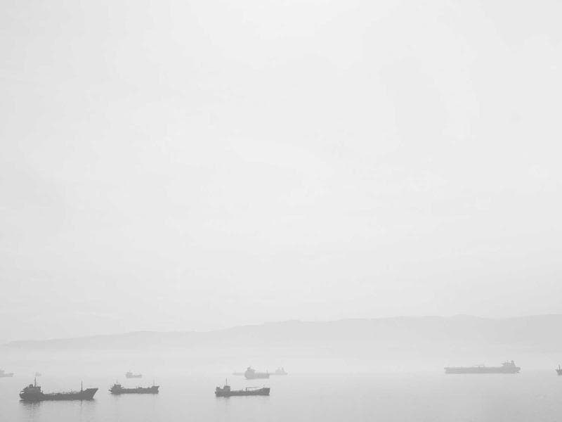 Collection 155 — editorial 29555