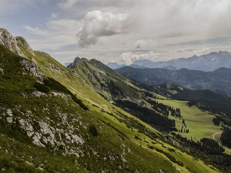 Collection 156 — street 29556