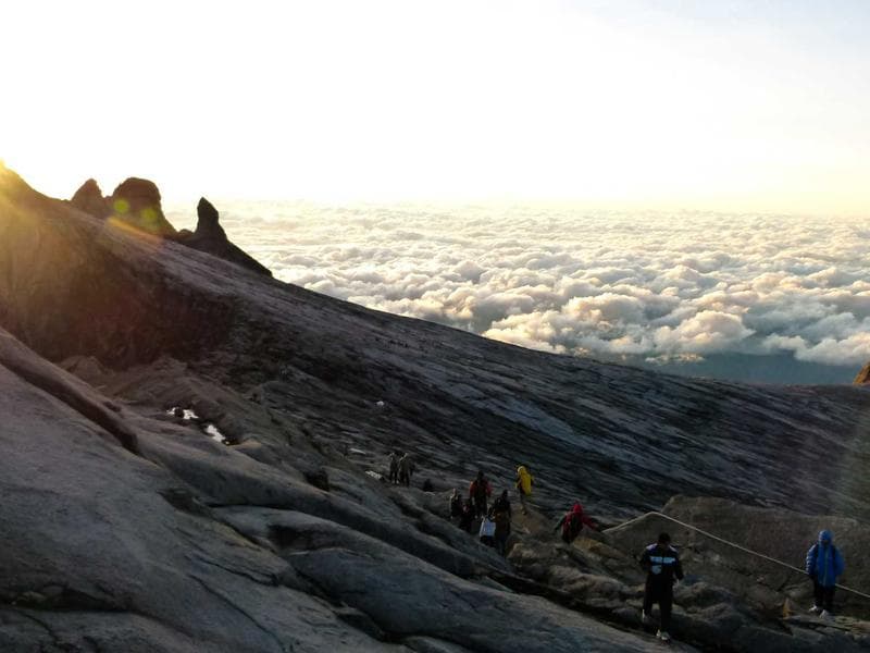 Collection 157 — wedding 29557