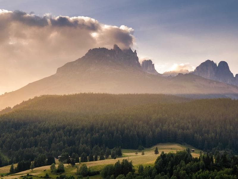 Collection 158 — product 29558