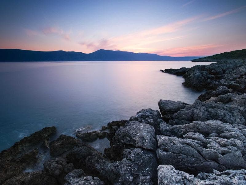 Collection 159 — nature 29559