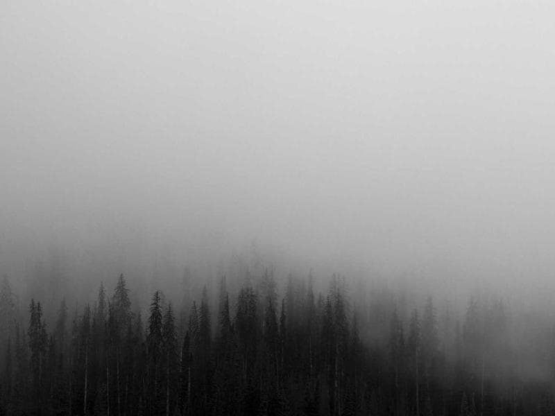 Collection 166 — product 29566