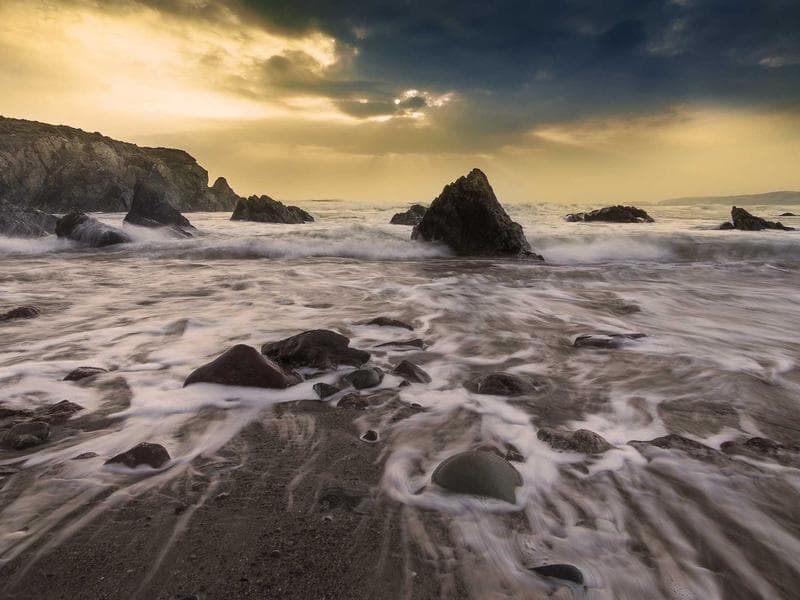 Collection 172 — street 29572