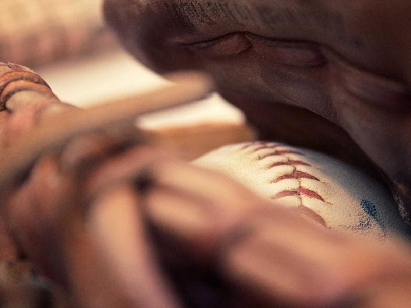 Collection 175 — nature 29575