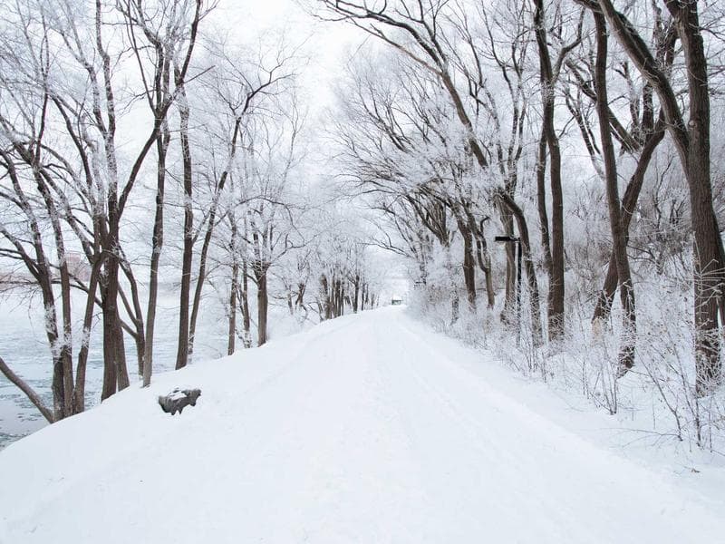 Collection 182 — product 29582