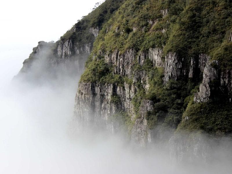 Collection 183 — nature 29583