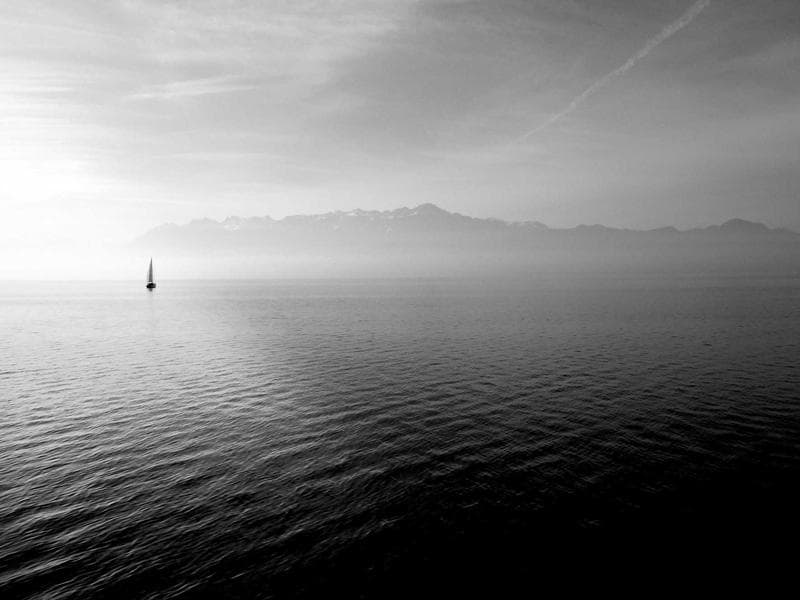 Collection 195 — editorial 29595