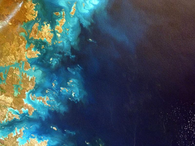 Collection 202 — portrait 29602