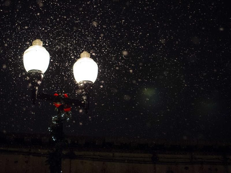 Collection 206 — product 29606