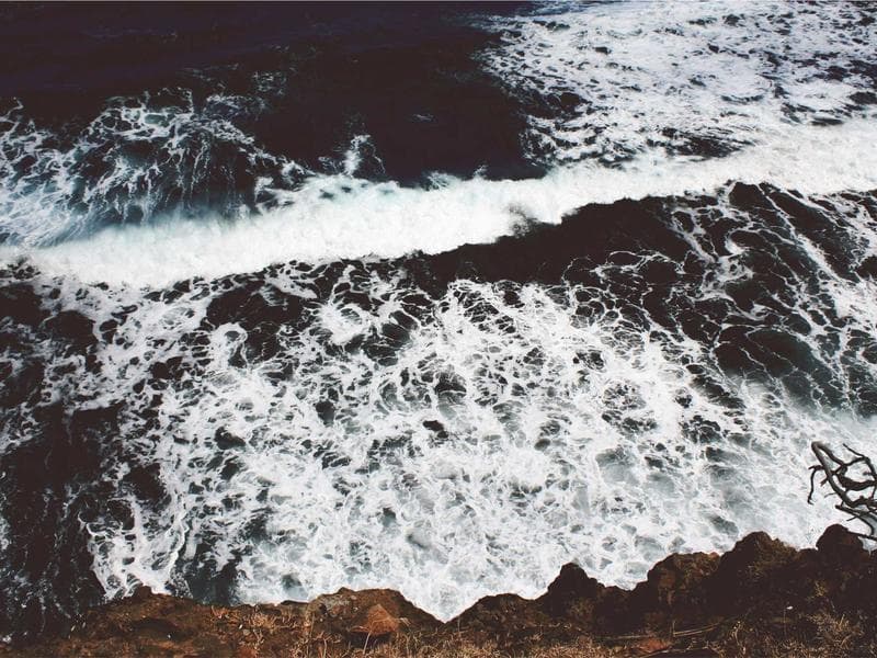 Collection 214 — product 29614