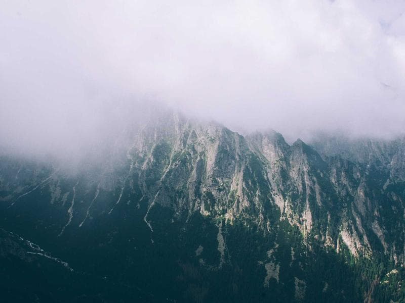 Collection 215 — nature 29615