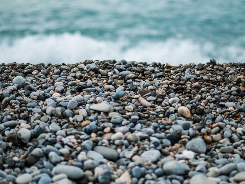 Collection 226 — portrait 29626