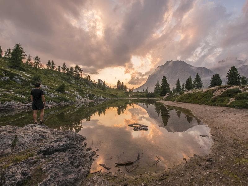 Collection 227 — editorial 29627