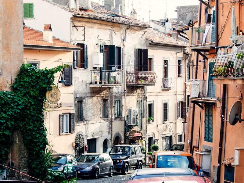 Collection 259 — editorial 29659