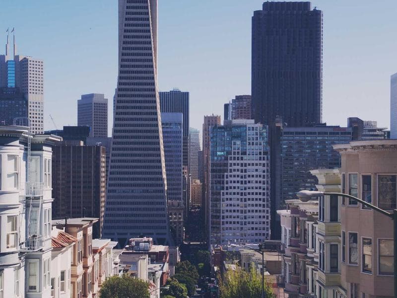 Collection 265 — landscape 29665