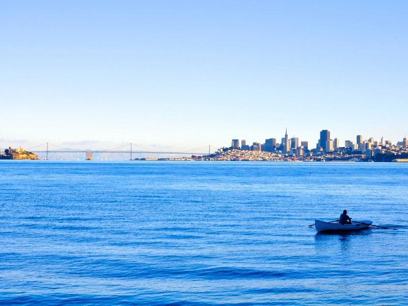 Collection 267 — editorial 29667