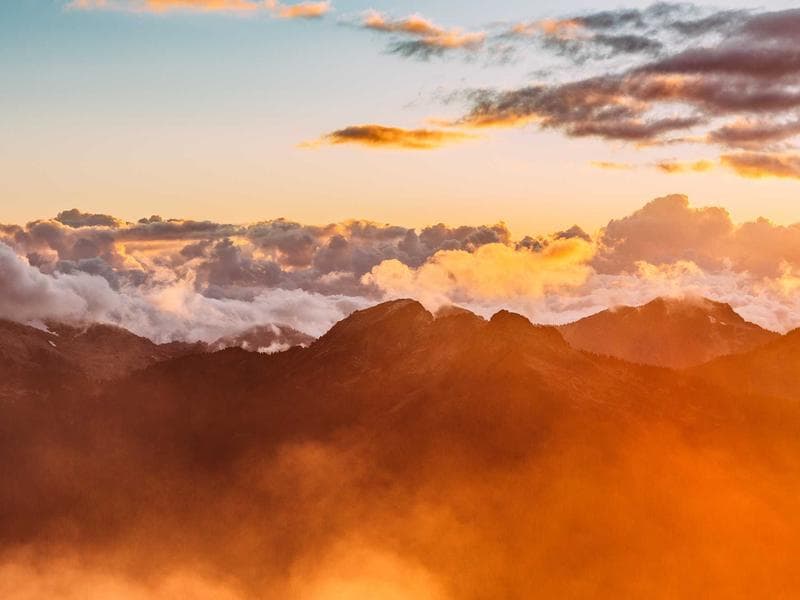 Collection 269 — wedding 29669