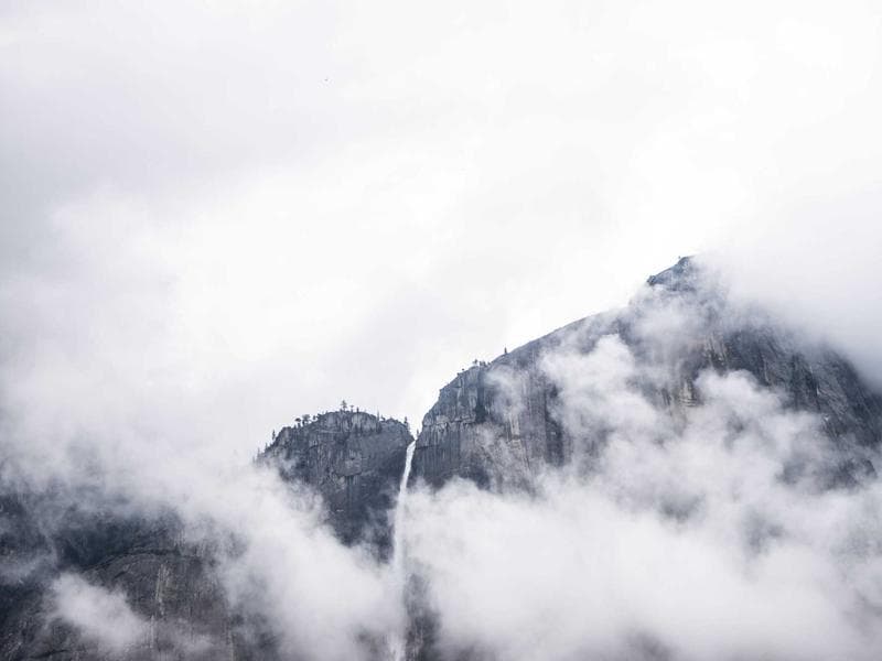 Collection 277 — wedding 29677