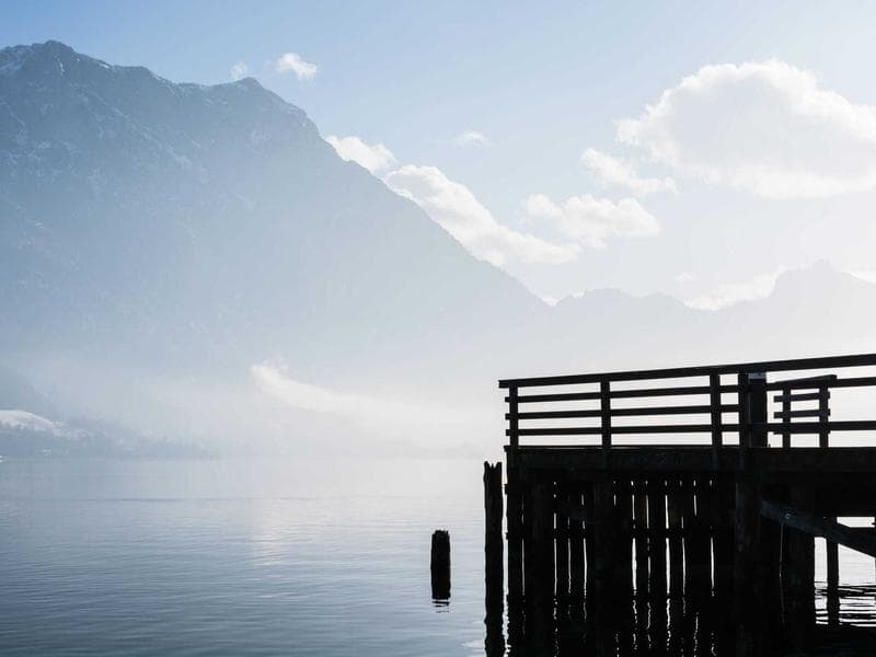 Collection 279 — nature 29679