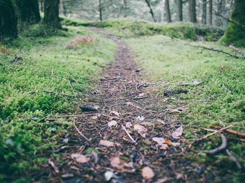 Collection 299 — editorial 29699