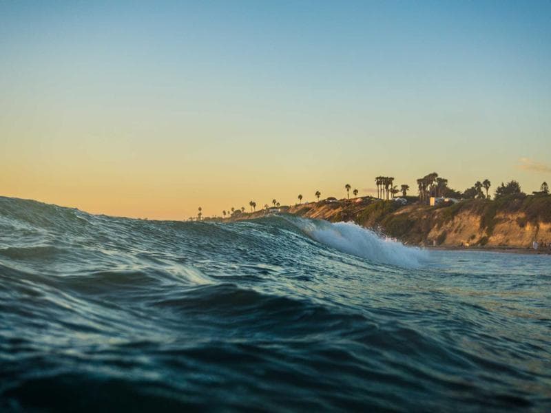 Collection 311 — nature 29711