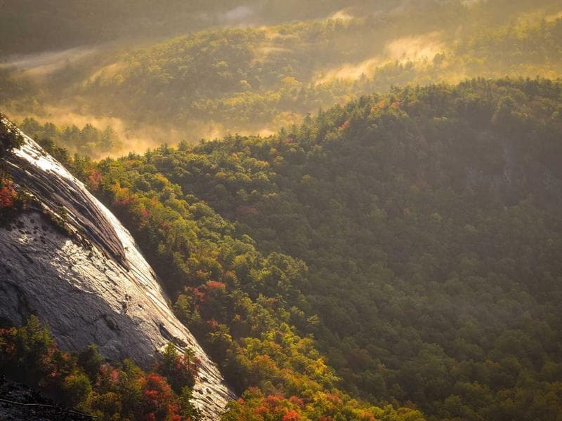 Collection 314 — portrait 29714