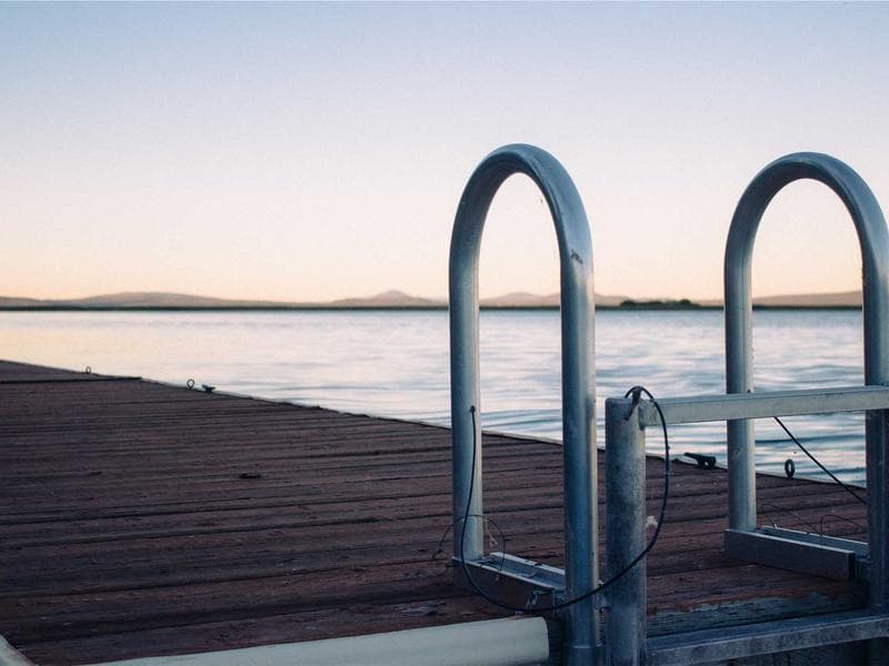 Collection 319 — nature 29719