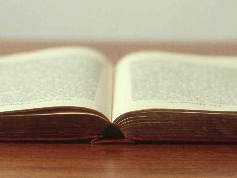 Collection 331 — editorial 29731