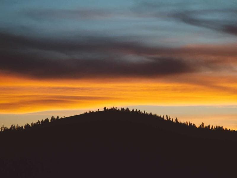 Collection 337 — landscape 29737